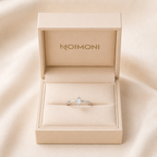 Éclat Rectangle 925 Ring