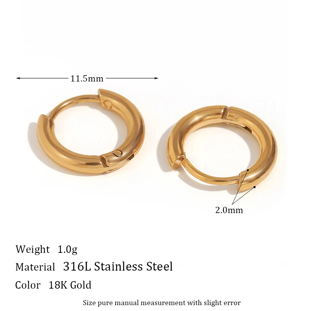 Elegant Gold Hoop Earrings