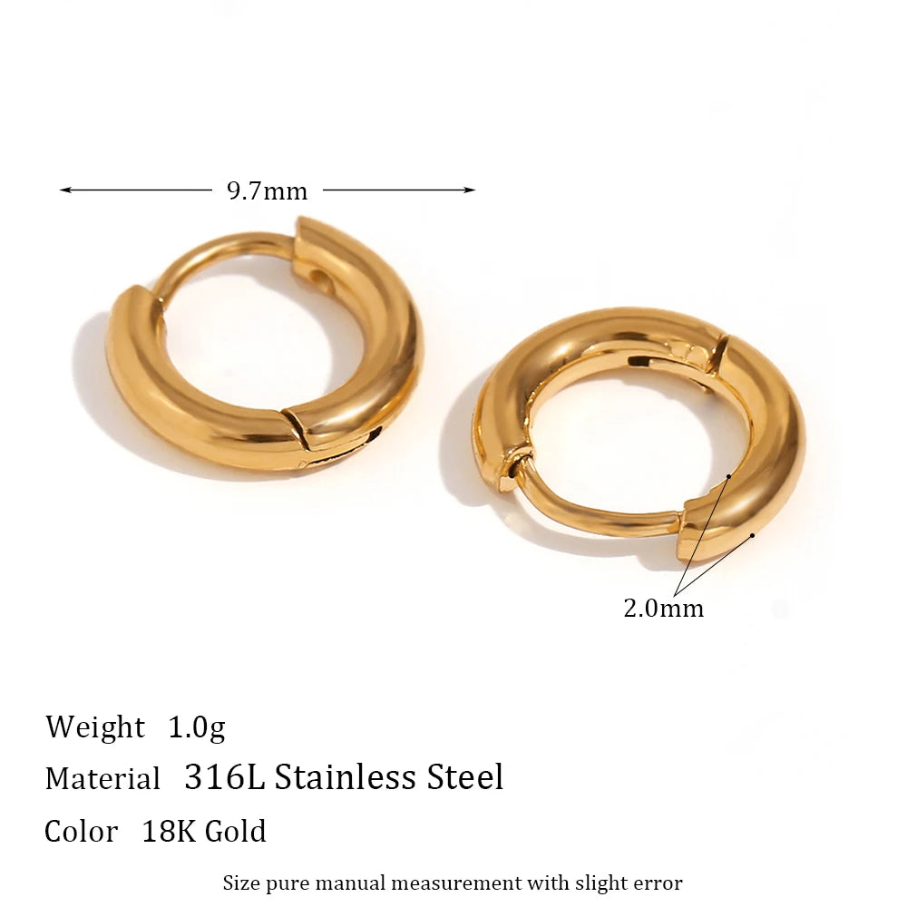 Elegant Gold Hoop Earrings